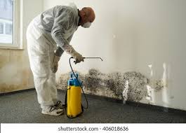  Briarcliff Manor, NY Mold Prevention & Removal Pros